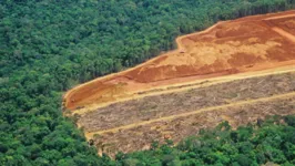 Amazônia perdeu 1.542 km² de mata nativa, o equivalente ao território da cidade de São Paulo