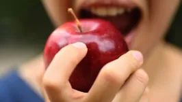 A maçã além de ser acessível o ano inteiro oferece vários benefícios para a saúde.