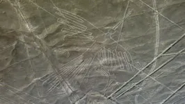 Os geoglifos encontrados consistem em uma figura semelhante a um ser humano segurando uma clava, um par de pernas ou mãos se estendendo por mais de 75 metros, um peixe e um pássaro.
