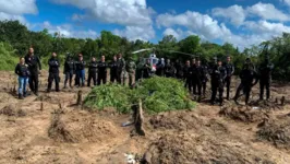 Durante a operação, 28 policiais civis e cinco agentes do Grupamento Aéreo de Segurança Pública (Graesp) ofereceram suporte à operação