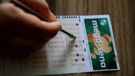 As apostas podem ser feitas até as 19h do dia do sorteio nas lotéricas de todo o país.