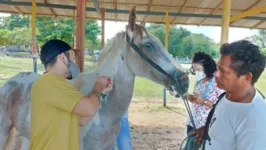 O projeto é desenvolvido pela Universidade Federal Rural da Amazônia