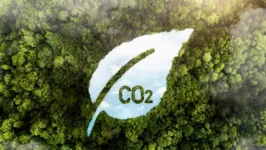 Mercado de carbono é um grande aliado das questões ambientais