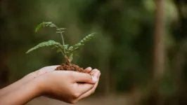 Ações de preservação ao meio ambiente deve estar presente em empresas no mundo todo