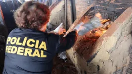 350 kg de drogas foram incinerados  nesta quinta-feira (29).