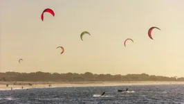 A praia da Barra Grande é uma das mais cativantes do litoral do Piauí