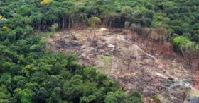 Desmatamento ilegal na Amazônia será um dos crimes combatidos no plano