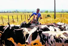 O agricultor e pecuarista Edvan Gripp, de 50 anos, comemora os benefícios de ter saído da informalidade.