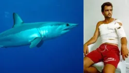 Martin Richardson foi salvo por golfinhos de ataque de tubarão