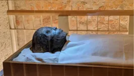 Múmia de Tutancâmon em túmulo, localizado no Vale dos Reis, Luxor, Egito.