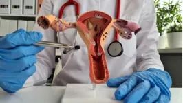 Campanha Julho Verde-Escuro chama a atenção para a importância de exames preventivos e do diagnóstico precoce da doença