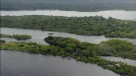 Brasil pode ser referência em biodiversidade e energia limpa