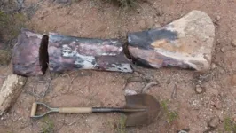 Osso de um Chucarosaurus Diripienda descoberto por paleontólogos argentinos em Rio Negro, na Argentina
