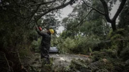 Quedas de árvores provocadas pelos ventos foram a causa da morte de três pessoas nesta quinta-feira (13) nas regiões castigadas pelo ciclone extratropical