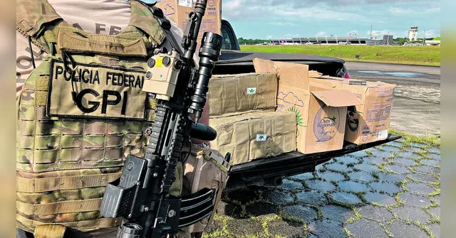 Imagem ilustrativa da notícia Polícia Federal intercepta 290KG da ‘supermaconha’