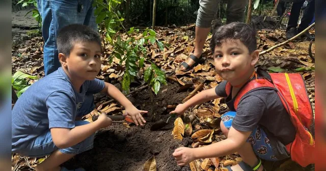 Imagem ilustrativa da notícia Bosque Rodrigues Alves recebe plantio de árvores 