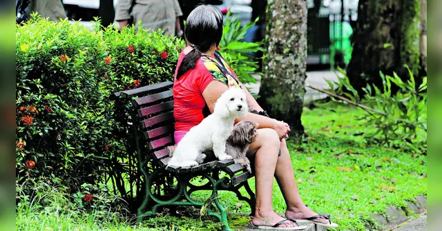 Imagem ilustrativa da notícia Alta temperatura requer ainda mais cuidado com os pets