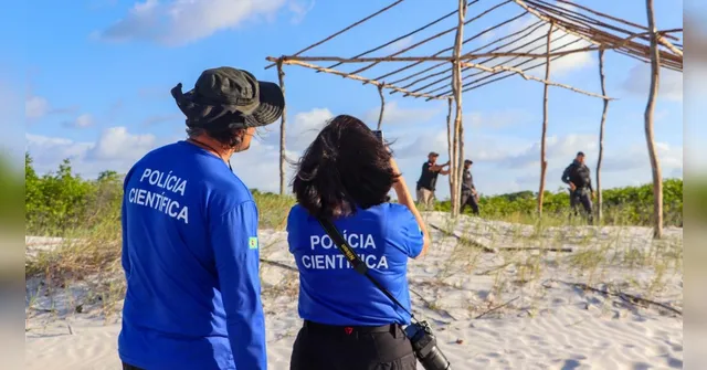 Imagem ilustrativa da notícia Barraca é retirada de área de preservação de tartarugas