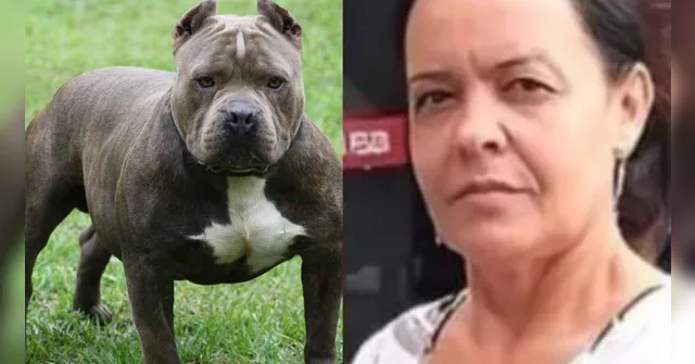 Imagem ilustrativa da notícia Mulher é morta por pitbull ao tentar separar briga de cães