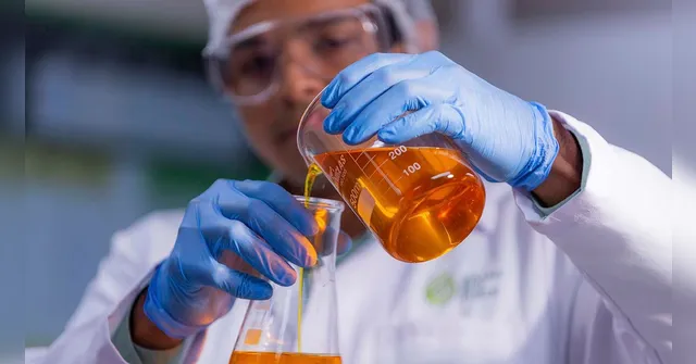 Imagem ilustrativa da notícia BBF produz biocombustível a partir do dendê