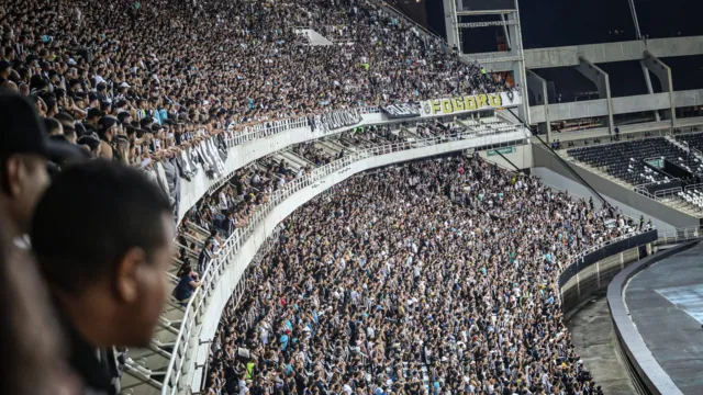 Imagem ilustrativa da notícia Torcedor do Botafogo é mordido por morcego ao comemorar gol