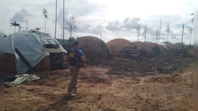 Imagem ilustrativa da notícia Semas interrompe ação de desmatamento ilegal em Dom Eliseu