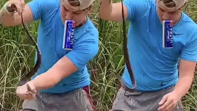Imagem ilustrativa da notícia Vídeo: jovem pega cobra enquanto toma cerveja e leva picada
