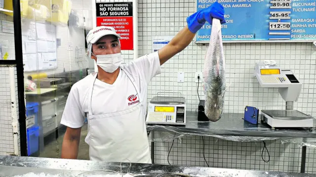 Imagem ilustrativa da notícia Pescado finalmente tem queda de preço em Belém