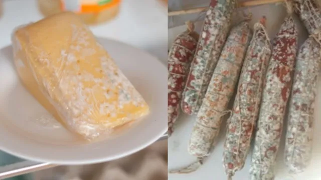 Imagem ilustrativa da notícia O queijo e o salame secaram? Confira se estão contaminados