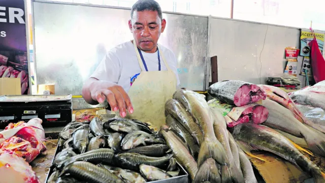 Imagem ilustrativa da notícia Veja as espécies de peixes que estão mais baratas em Belém