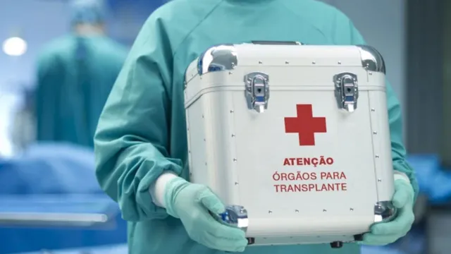 Imagem ilustrativa da notícia Pará já realizou 190 transplantes de órgãos desde janeiro
