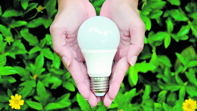 Imagem ilustrativa da notícia Conta de luz: lâmpadas led garantem mais economia