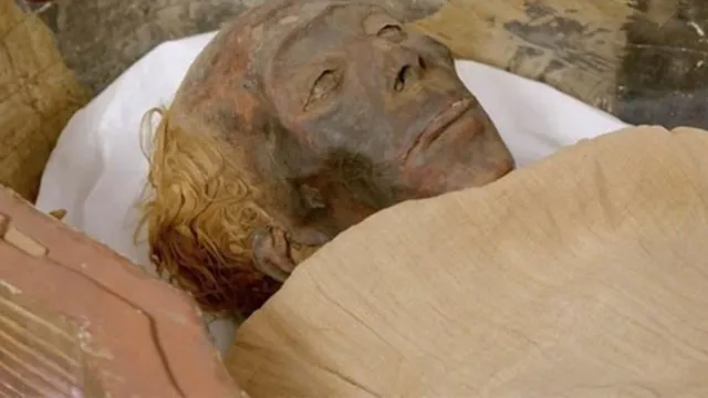 Imagem ilustrativa da notícia Sarcófago aberto revela bisavó loira do faraó Tutancâmon