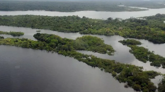 Imagem ilustrativa da notícia Plano de descarbonização da Amazônia será lançado em agosto