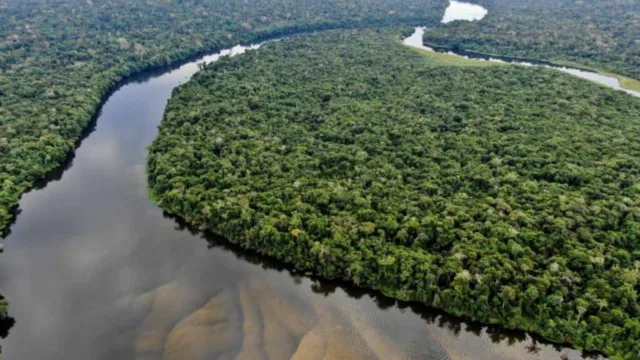 Imagem ilustrativa da notícia Pará lança iniciativa inédita para preservar rios  