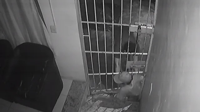 Imagem ilustrativa da notícia Vídeo: Salão de beleza é furtado por criminosos em São Brás