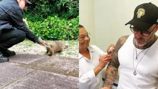 Imagem ilustrativa da notícia Chef Fogaça é mordido por animal e vai parar em hospital