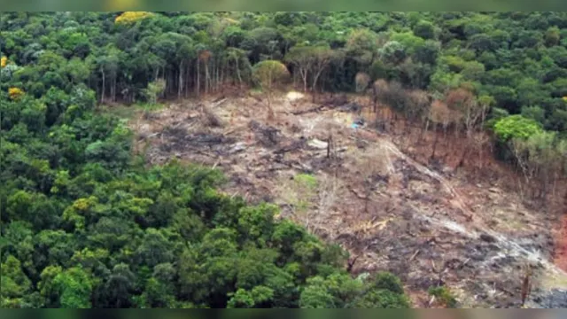 Imagem ilustrativa da notícia Governo anuncia R$ 2 bi para combate a crimes na Amazônia