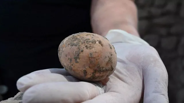 Imagem ilustrativa da notícia Ovo de galinha de mil anos é achado intacto em Israel