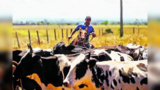 Imagem ilustrativa da notícia Pará lidera geração de empregos no setor da agropecuária