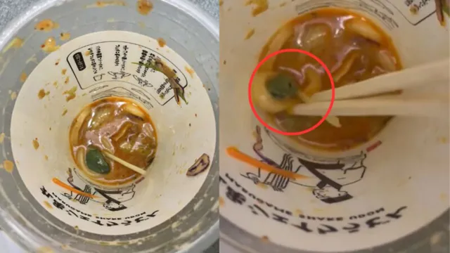 Imagem ilustrativa da notícia Vídeo: cliente encontra rã viva em prato de sopa na China
