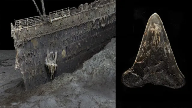 Imagem ilustrativa da notícia Dente de megalodon é achado nos destroços do Titanic