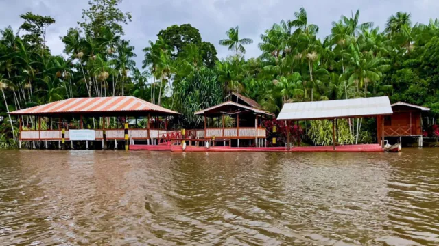 Imagem ilustrativa da notícia Sabores do verão: restaurantes unem gastronomia e Amazônia