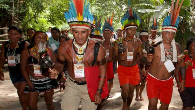 Imagem ilustrativa da notícia ONU quer maior protagonismo de indígenas na crise climática