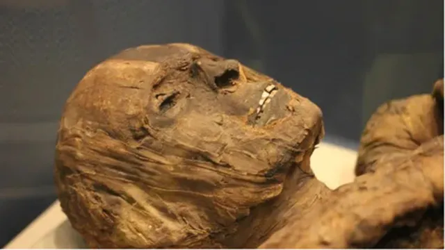 Imagem ilustrativa da notícia Europeus comiam pó e pedaços de múmias para curar doenças
