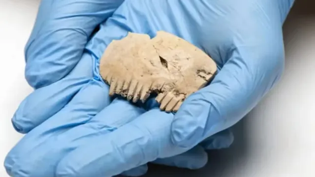 Imagem ilustrativa da notícia Arqueólogos acham pente de 3 mil anos feito de ossos humanos