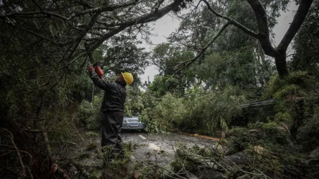 Imagem ilustrativa da notícia Ciclone deixa 3 mortos e 1 milhão sem energia no Sul e em SP