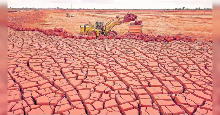Imagem ilustrativa da notícia Empresas são pioneiras em tecnologia
