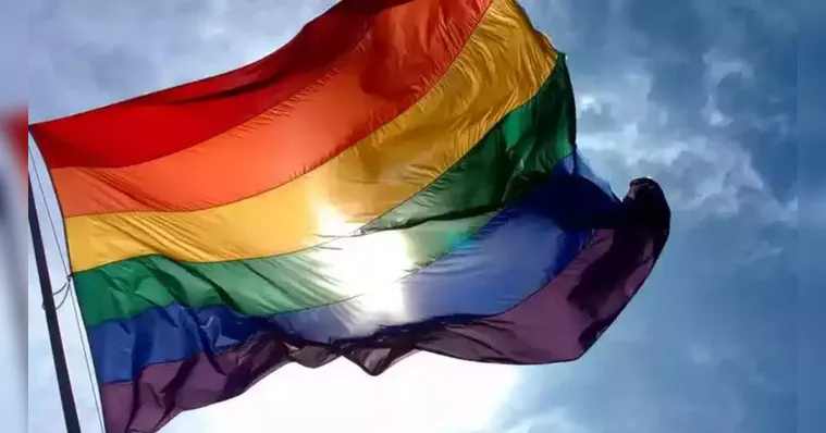 Imagem ilustrativa da notícia UFMG é a 1ª universidade brasileira a ter um acervo LGBT+