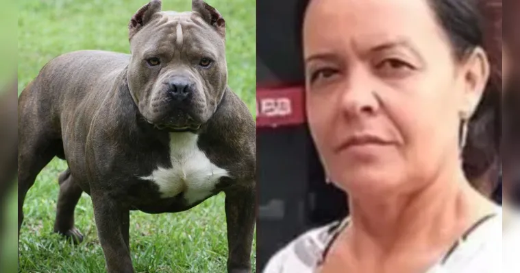 Imagem ilustrativa da notícia Mulher é morta por pitbull ao tentar separar briga de cães